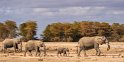 102 Amboseli Nationaal Park